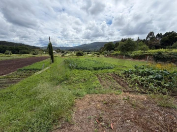 Terreno para Venda em Riba de Ancora