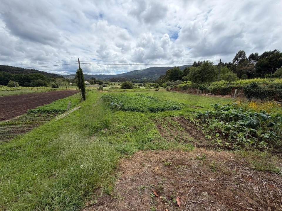 Terreno para Venda em Riba de Ancora Foto 12
