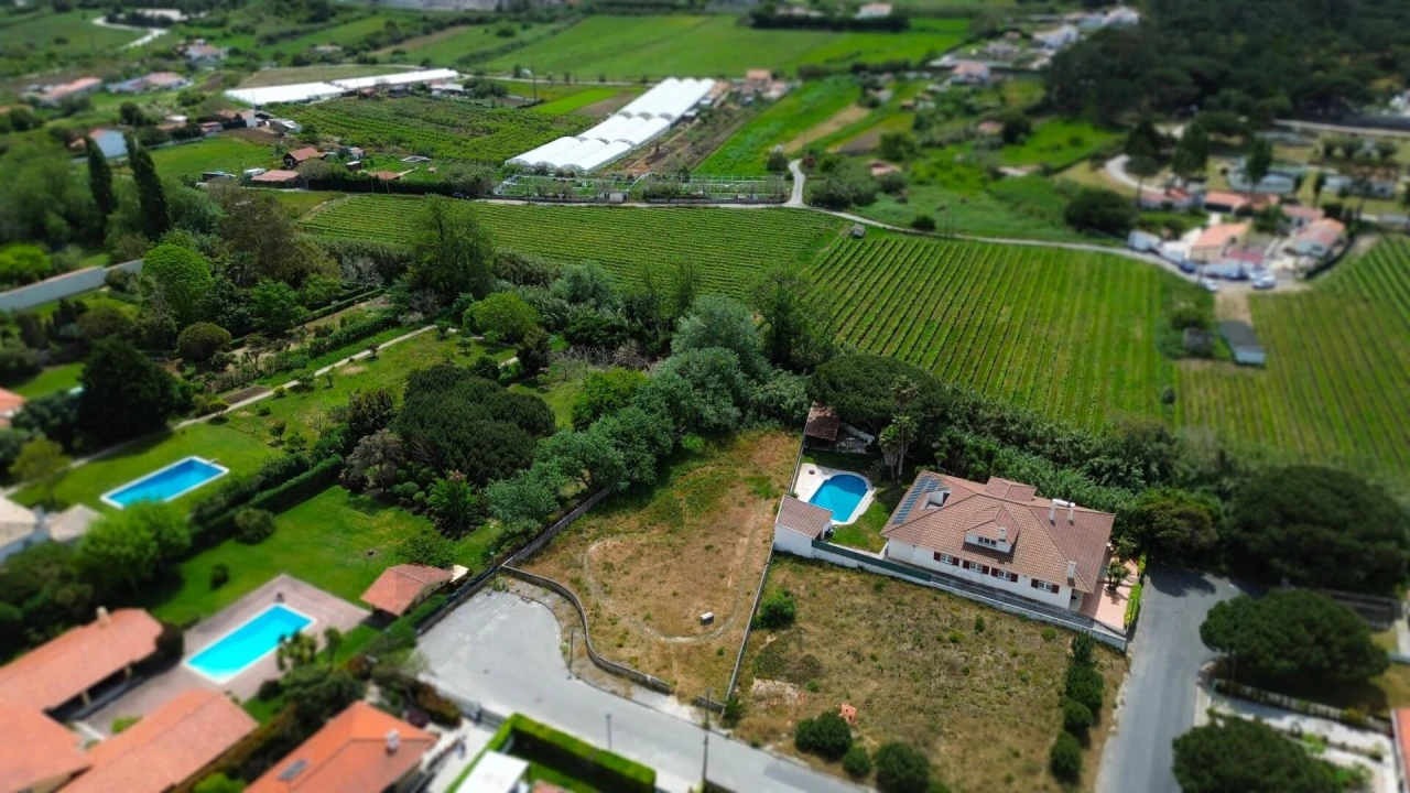 Terreno para Venda em Colares Foto 4