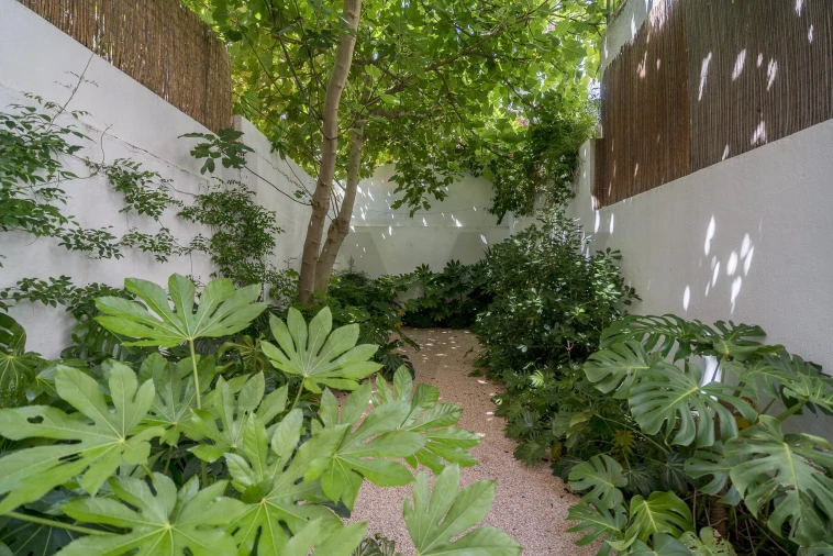 Apartamento T1 para Arrendamento em Campo de Ourique Foto 27