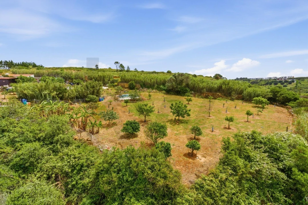 Apartamento T4 para Venda em Ericeira Foto 80