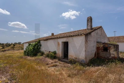 Quinta T3 para Venda em Alcaria Ruiva