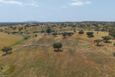 Quinta T3 para Venda em Alcaria Ruiva