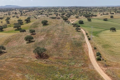 Quinta T3 para Venda em Alcaria Ruiva