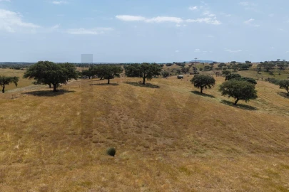 Quinta T3 para Venda em Alcaria Ruiva