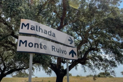 Quinta T3 para Venda em Alcaria Ruiva