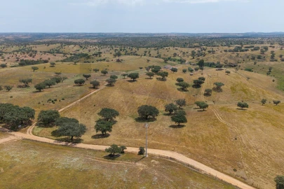Quinta T3 para Venda em Alcaria Ruiva
