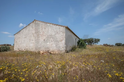 Quinta T3 para Venda em Alcaria Ruiva
