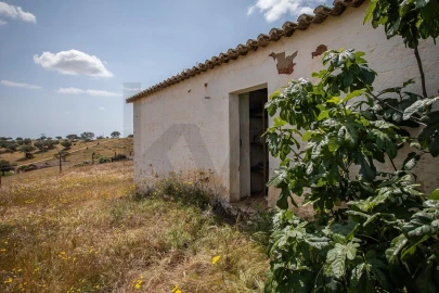 Quinta T3 para Venda em Alcaria Ruiva