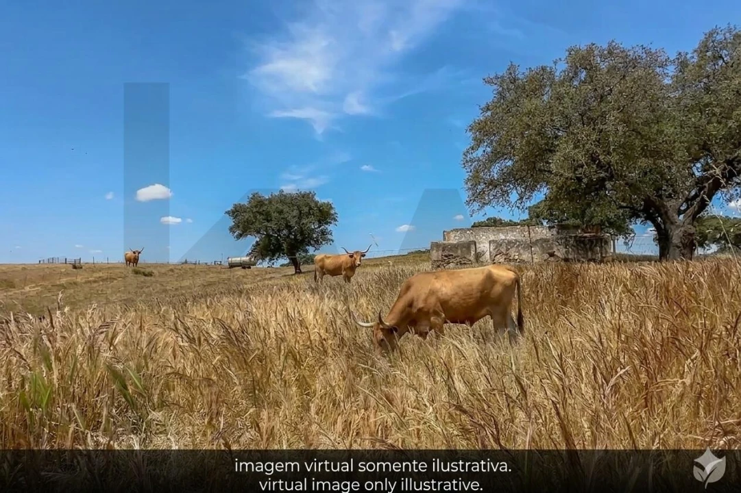 Quinta T3 para Venda em Alcaria Ruiva Foto 21