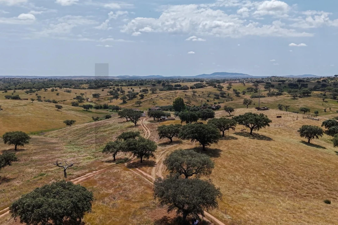 Quinta T3 para Venda em Alcaria Ruiva Foto 13