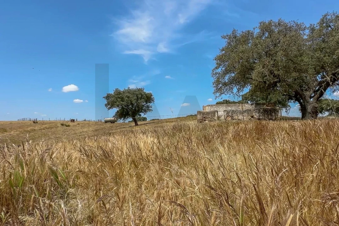 Quinta T3 para Venda em Alcaria Ruiva Foto 22