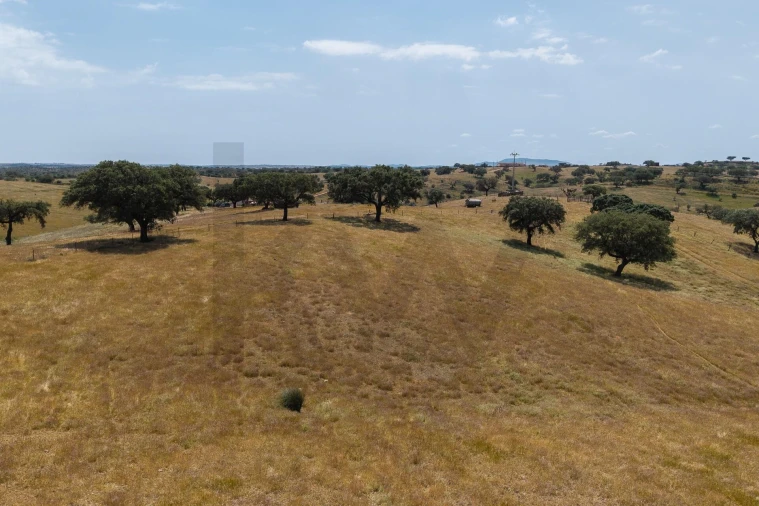 Quinta T3 para Venda em Alcaria Ruiva Foto 23