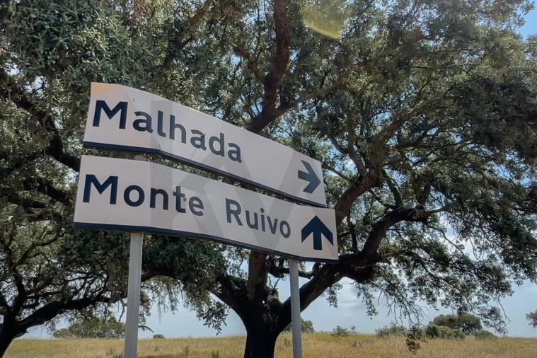 Quinta T3 para Venda em Alcaria Ruiva Foto 8
