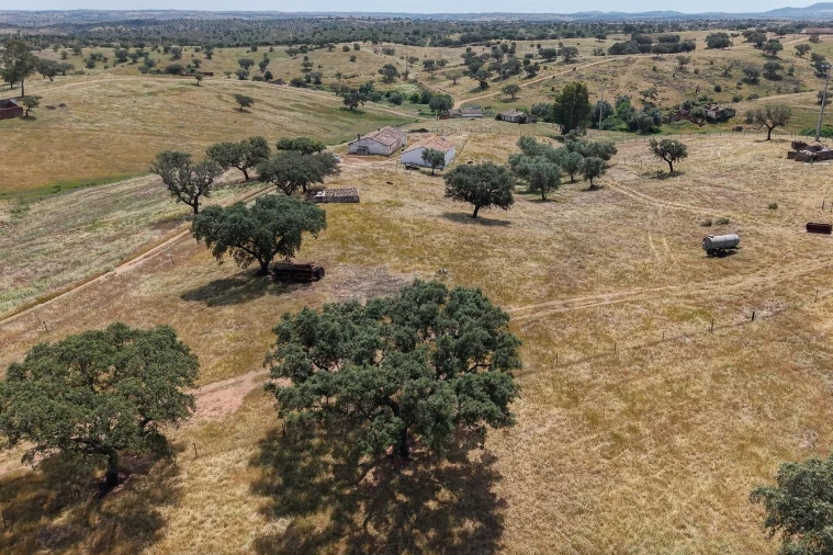 Quinta T3 para Venda em Alcaria Ruiva Foto 10