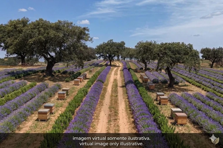 Quinta T3 para Venda em Alcaria Ruiva Foto 17