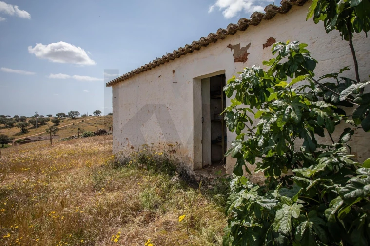 Quinta T3 para Venda em Alcaria Ruiva Foto 3