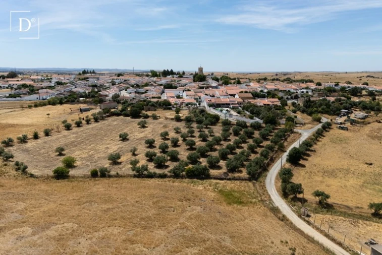 Moradia T2 para Venda em Castro Verde e Casével Foto 26