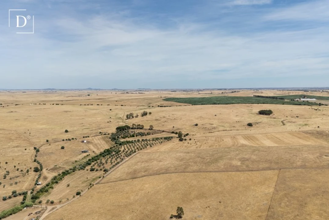 Moradia T2 para Venda em Castro Verde e Casével Foto 24