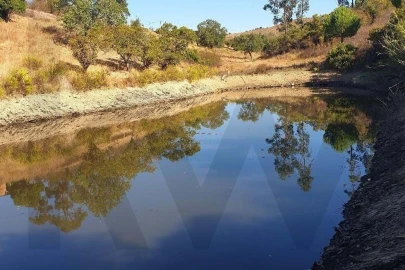 Quinta T2 para Venda em São Bartolomeu de Messines
