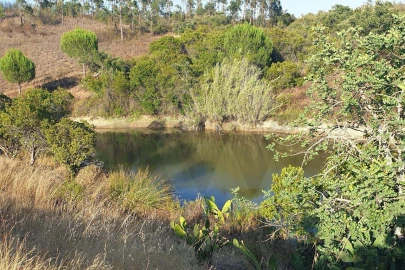 Quinta T2 para Venda em São Bartolomeu de Messines