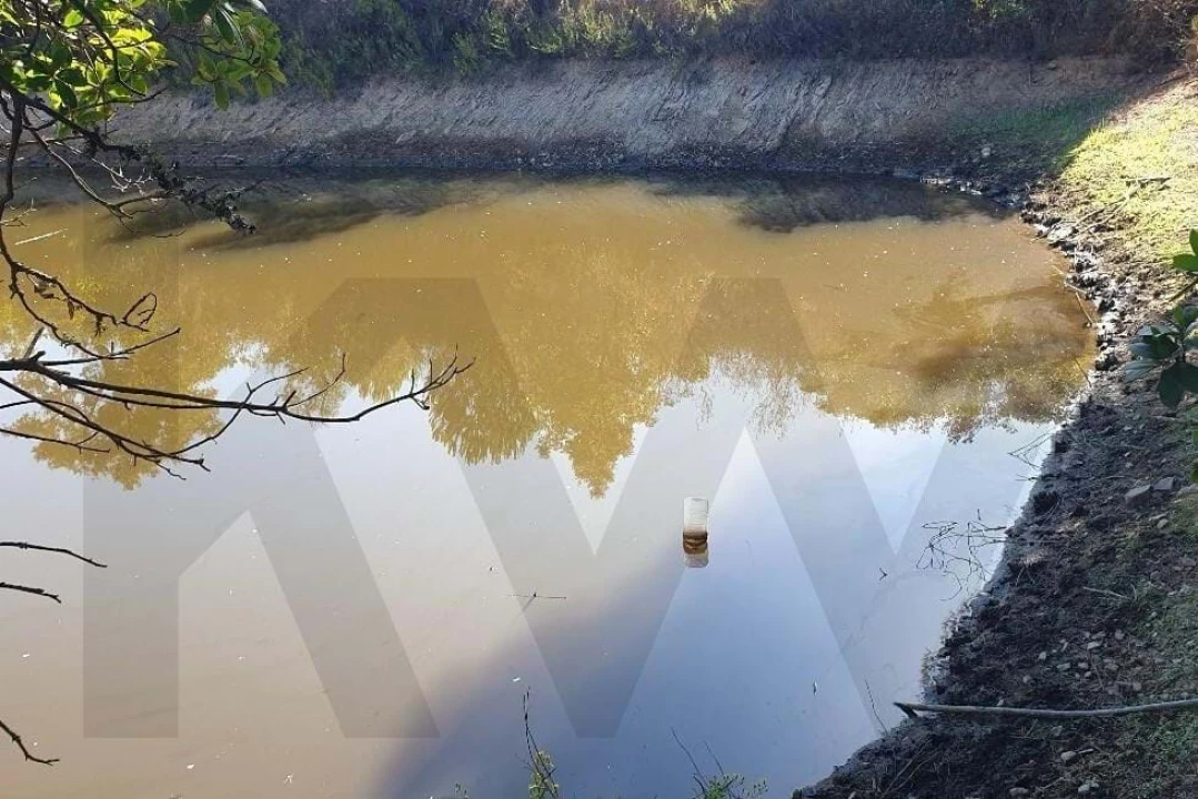 Quinta T2 para Venda em São Bartolomeu de Messines Foto 14
