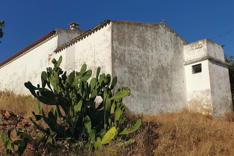 Quinta T2 para Venda em São Bartolomeu de Messines Foto 12