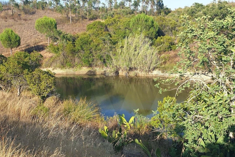 Quinta T2 para Venda em São Bartolomeu de Messines Foto 13