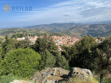 Moradia T3 para Venda em Longa