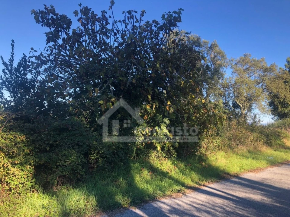 Quinta T1 para Venda em Cernache do Bonjardim, Nesperal e Palhais Foto 2