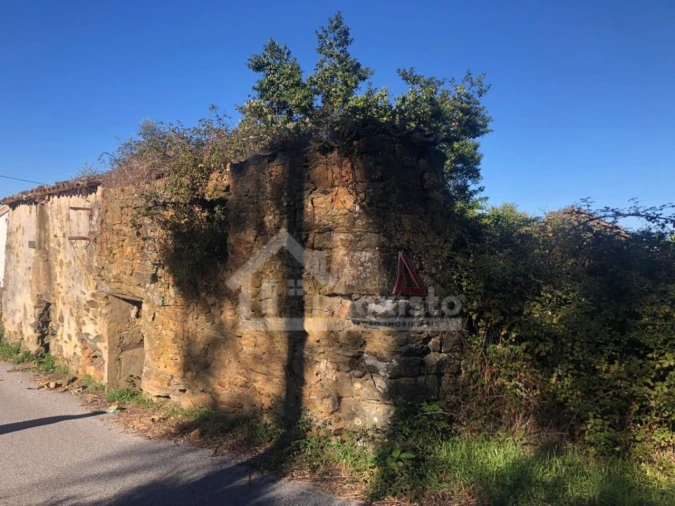 Quinta T1 para Venda em Cernache do Bonjardim, Nesperal e Palhais Foto 6