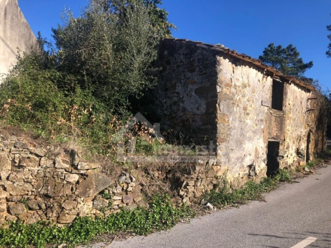 Quinta T1 para Venda em Cernache do Bonjardim, Nesperal e Palhais Foto 7