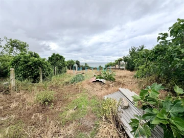 Moradia T0 para Venda em Lordelo do Ouro e Massarelos
