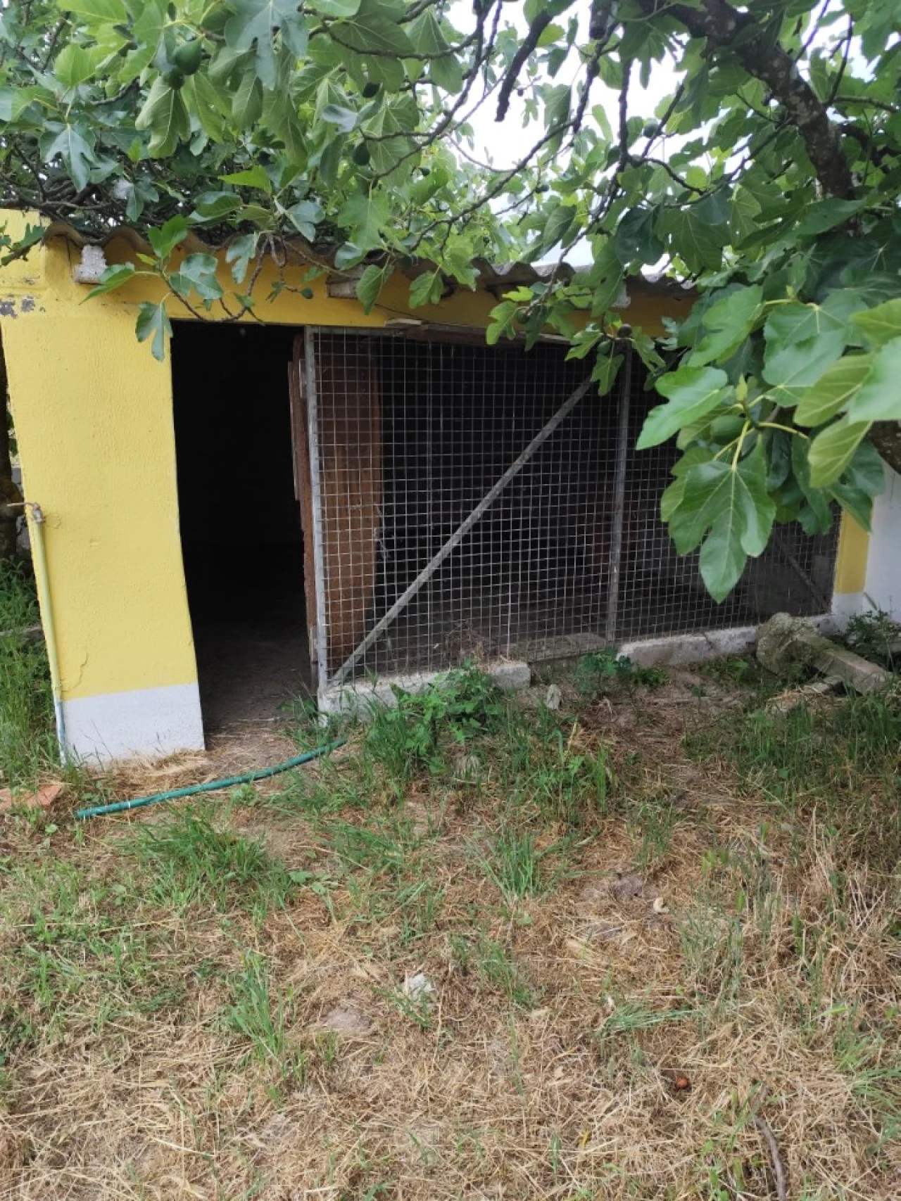 Moradia T3 para Venda em Glória do Ribatejo e Granho Foto 21