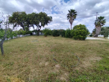 Moradia T3 para Venda em Glória do Ribatejo e Granho