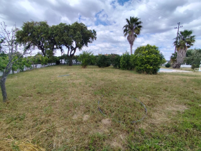 Moradia T3 para Venda em Glória do Ribatejo e Granho Foto 20