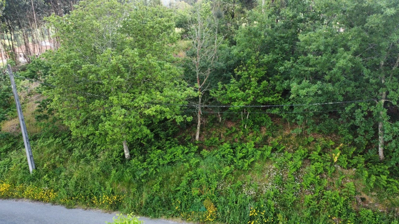 Terreno para Venda em Sabadim Foto 10