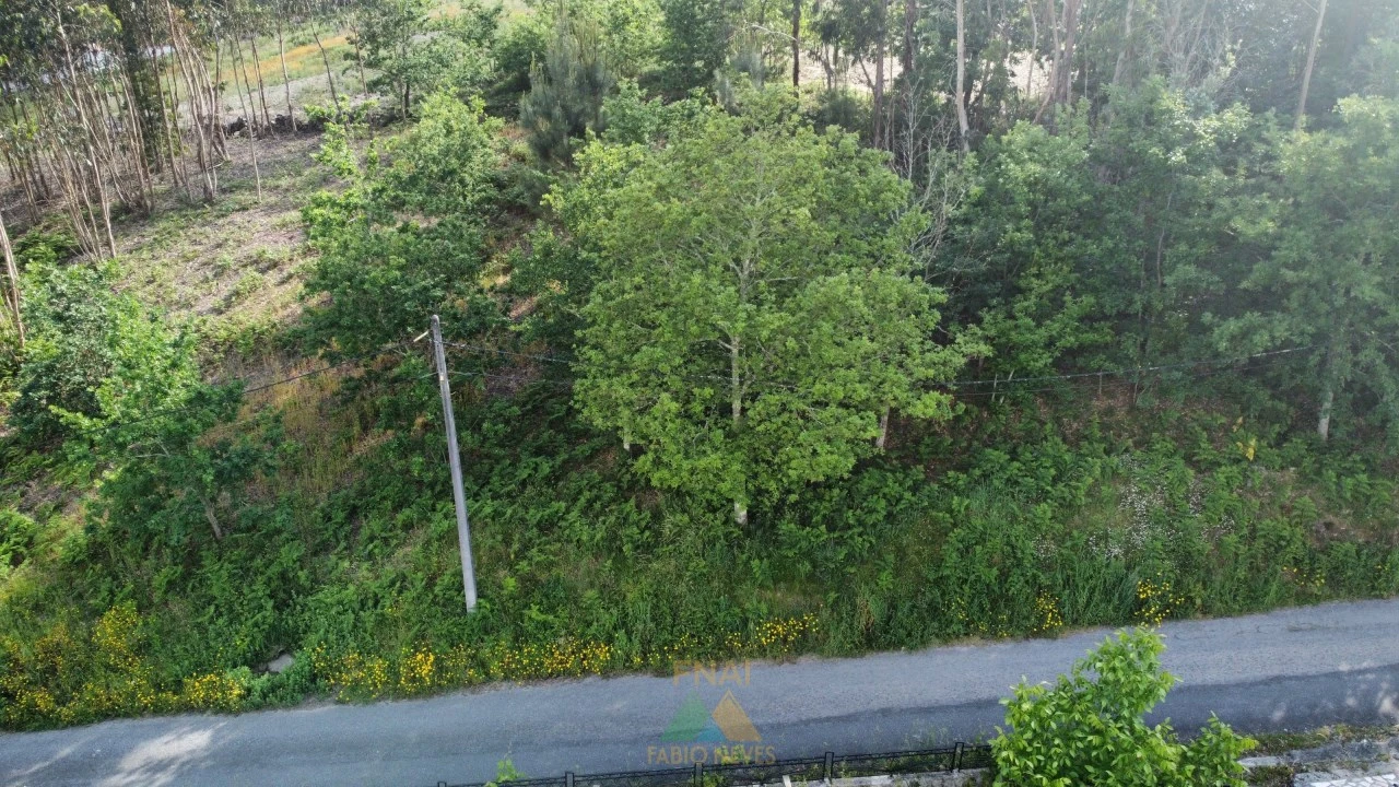 Terreno para Venda em Sabadim Foto 14