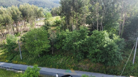 Terreno para Venda em Sabadim