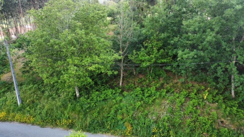 Terreno para Venda em Sabadim