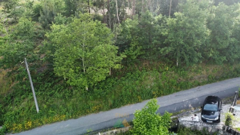 Terreno para Venda em Sabadim