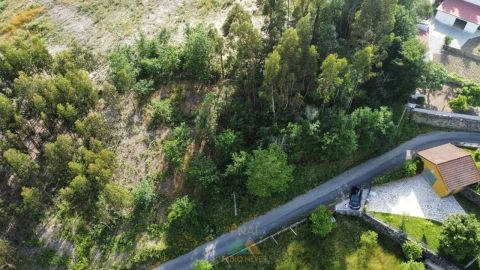 Terreno para Venda em Sabadim