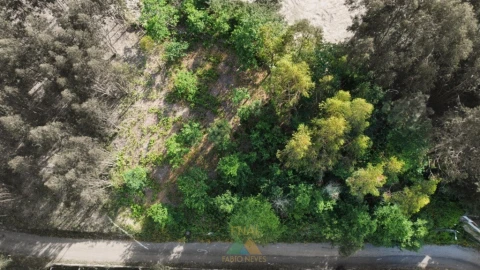 Terreno para Venda em Sabadim