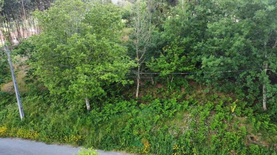 Terreno para Venda em Sabadim Foto 10