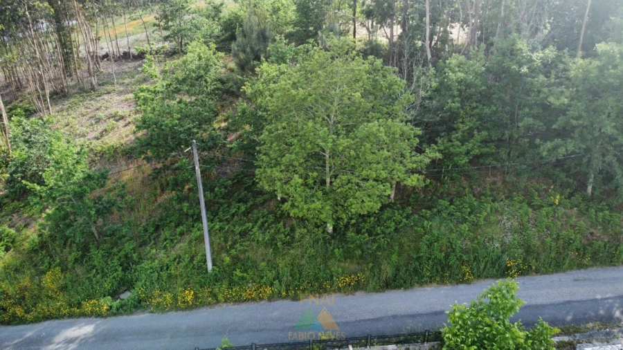 Terreno para Venda em Sabadim Foto 14