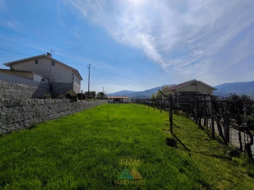 Terreno para Venda em Vilela, São Cosme e São Damião e Sá