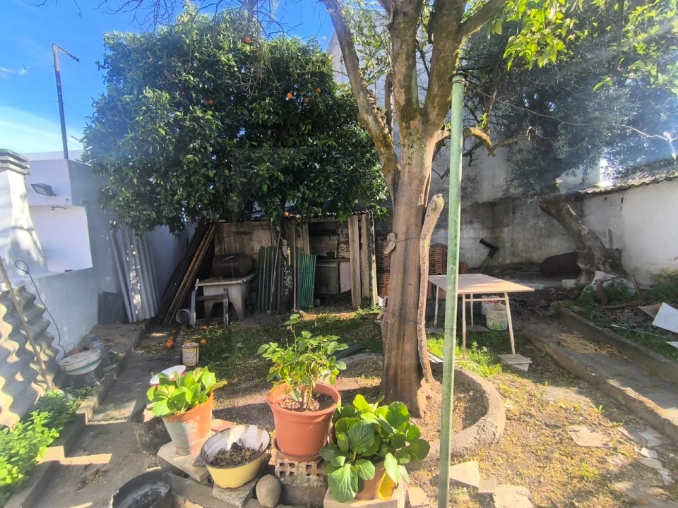 Moradia T3 para Venda em Pego Foto 24