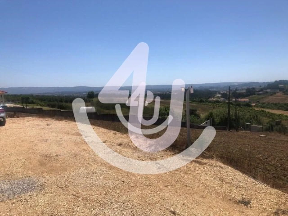 Terreno para Venda em Cela Foto 3