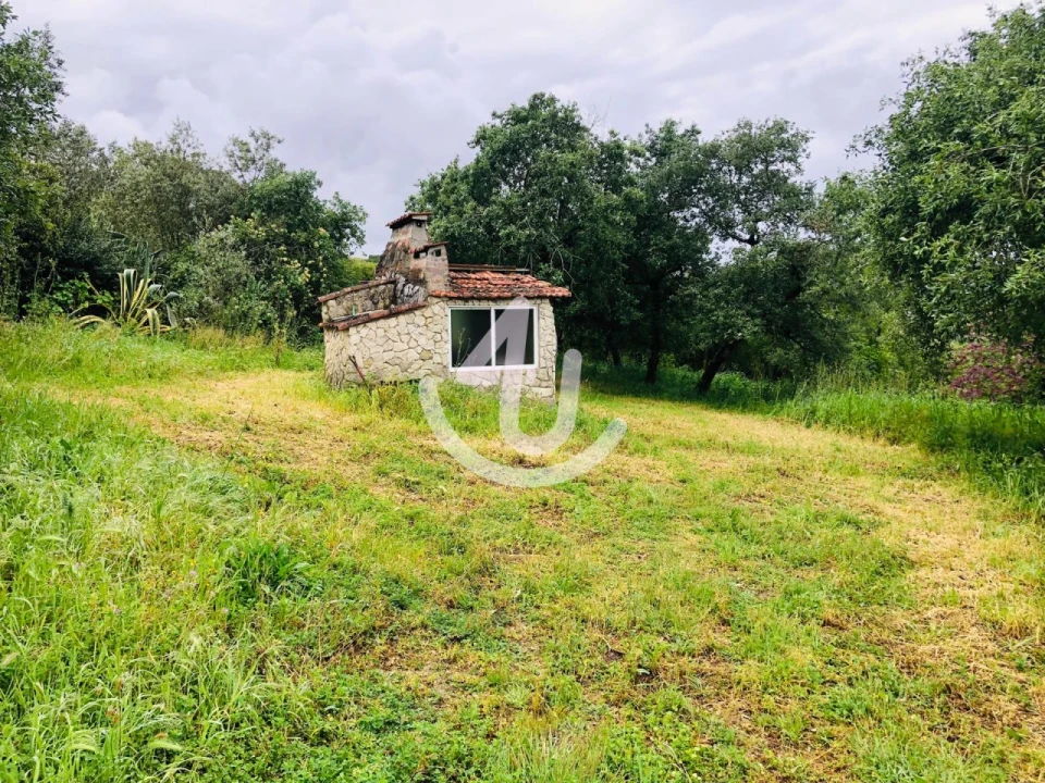 Terreno para Venda em Evora de Alcobaça Foto 1