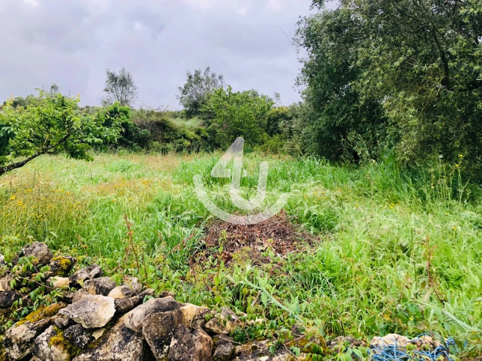 Terreno para Venda em Evora de Alcobaça Foto 3